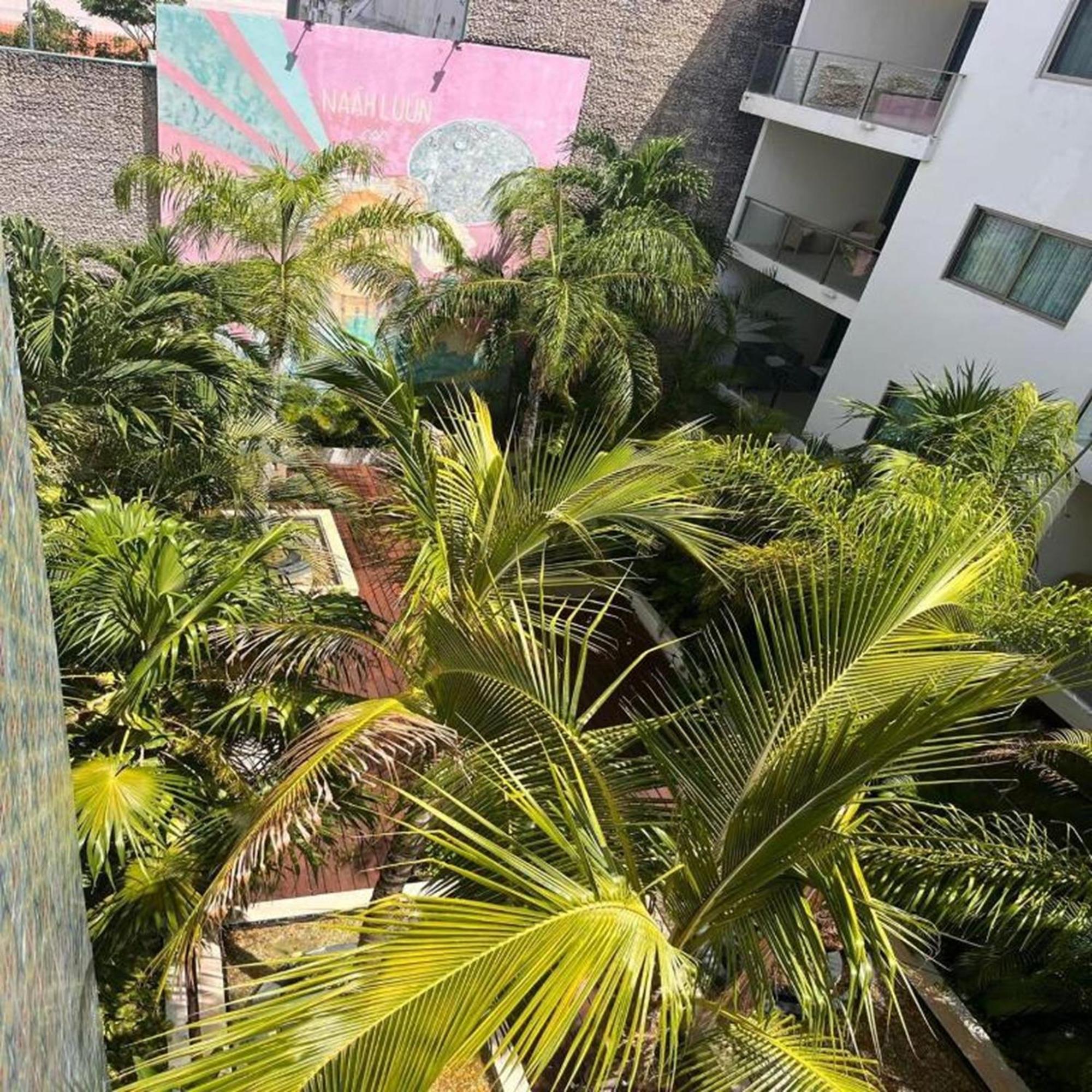 Hotel The Palm (Adults Only) Playa del Carmen Exterior photo